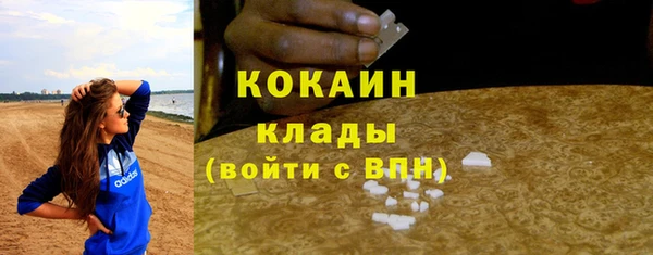 прущие грибы Верхний Тагил