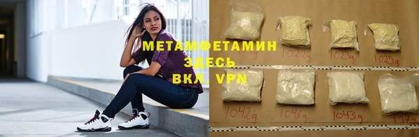 прущие грибы Верхний Тагил