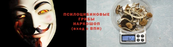 прущие грибы Верхний Тагил