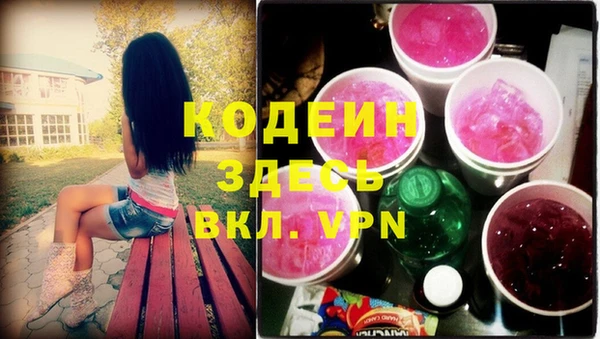 apvp Верея