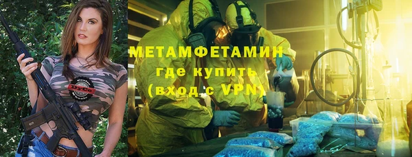 прущие грибы Верхний Тагил