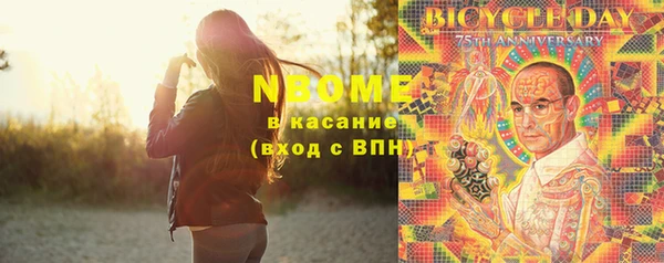 прущие грибы Верхний Тагил