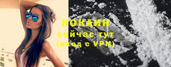 прущие грибы Верхний Тагил