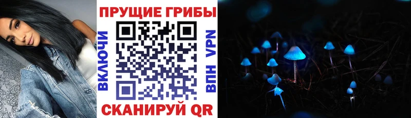 нарко площадка как зайти  Якутск  Псилоцибиновые грибы Psilocybe  цены наркотик 